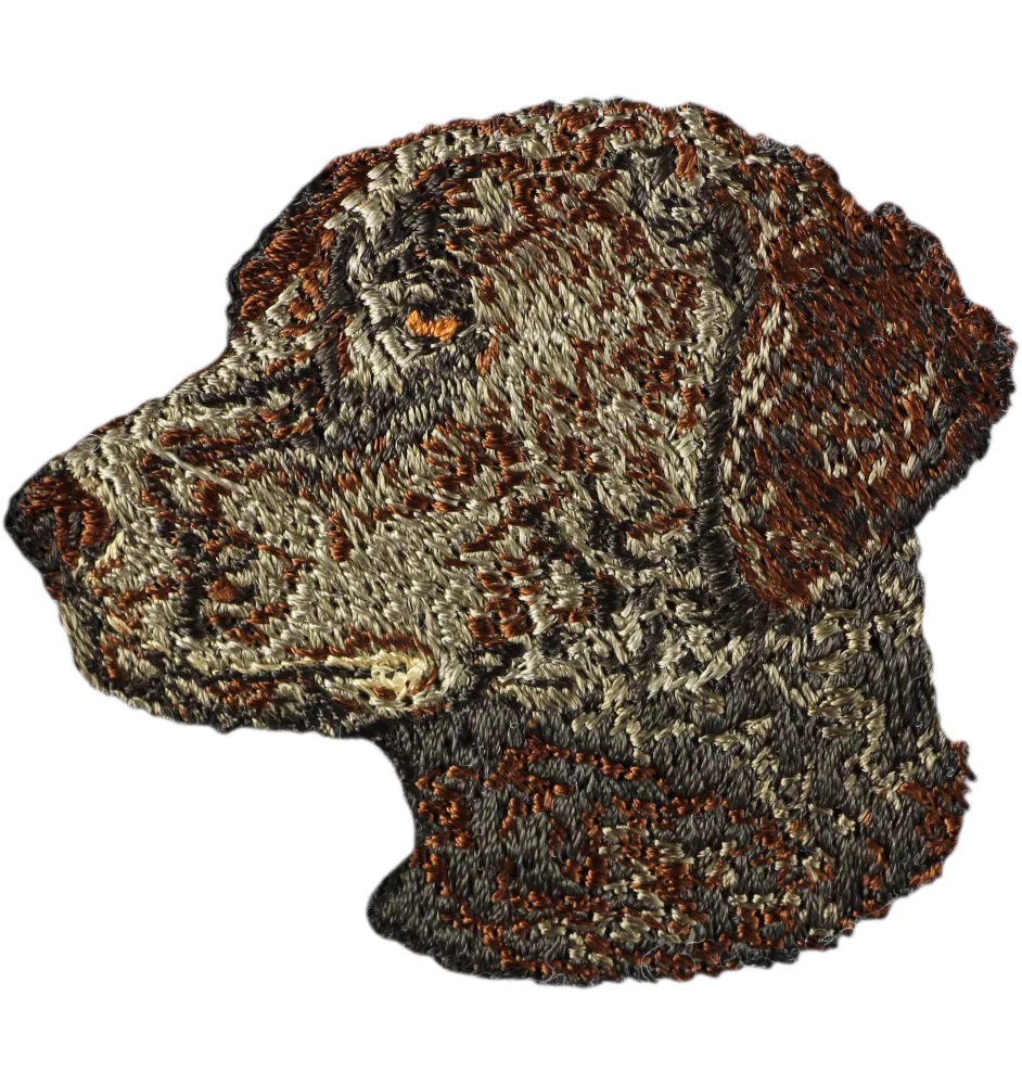 Curly Coated Retriever pies haftowany Art-Dog