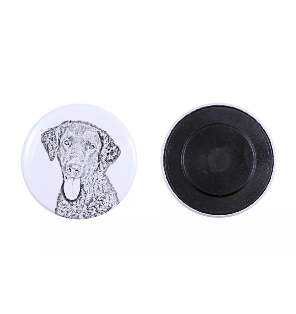 Curly Coated Retriever Magnet mit einem Hundepfotenabdruck, außergewöhnlich leicht, starker Magnet, handgefertigtes Produkt der Marke Art-Dog