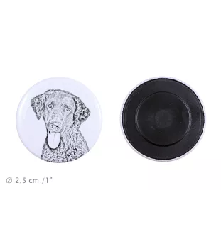 Curly Coated Retriever Magnet mit einem Hundepfotenabdruck, außergewöhnlich leicht, starker Magnet, handgefertigtes Produkt der Marke Art-Dog
