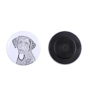 Curly Coated Retriever magnes z psem duży Art-Dog