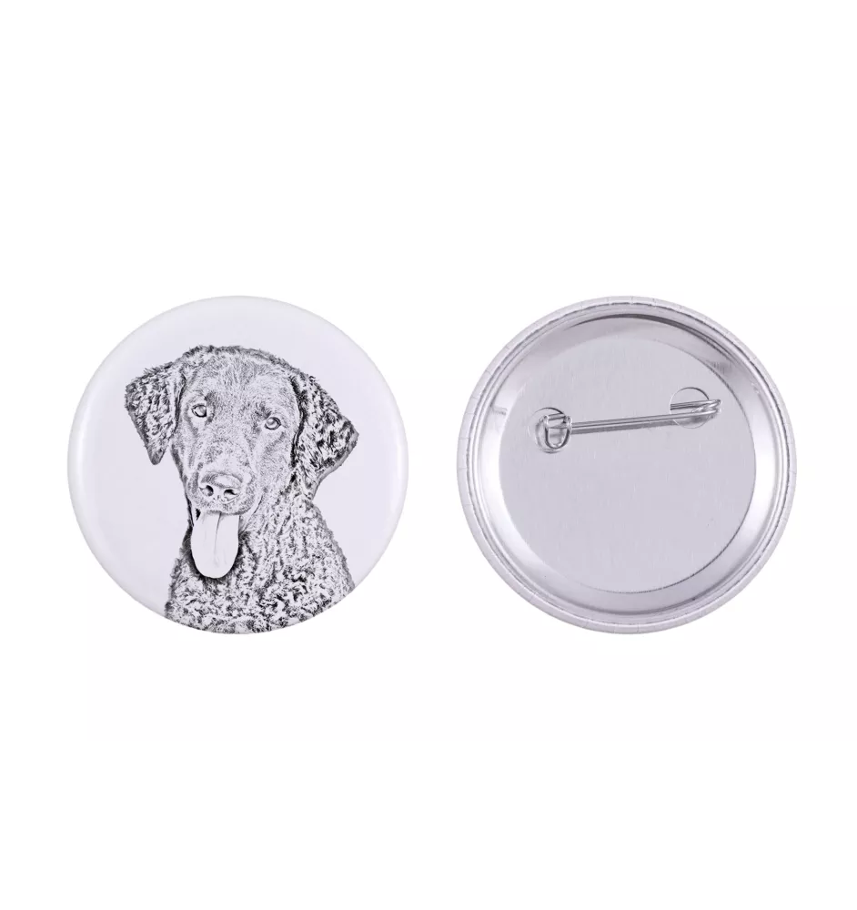 Curly Coated Retriever przypinka z psem duża Art-Dog