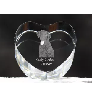 Curly Coated Retriever - a photo of a dog in crystal, crystal heart, unique photo frame from the Art-Dog brand
