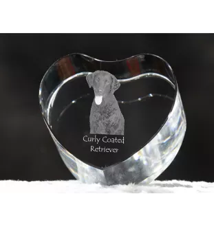 Curly Coated Retriever - a photo of a dog in crystal, crystal heart, unique photo frame from the Art-Dog brand