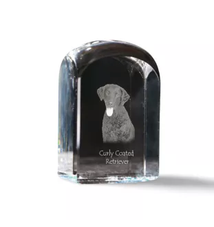 Curly Coated Retriever - crystal cube with a photo, photo of a dog in crystal, cubic paperweight from Art-Dog brand