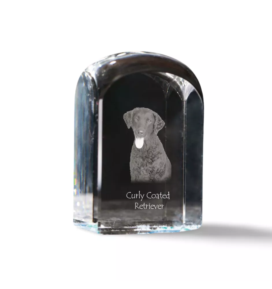 Curly Coated Retriever - crystal cube with a photo, photo of a dog in crystal, cubic paperweight from Art-Dog brand