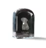 Curly Coated Retriever - crystal cube with a photo, photo of a dog in crystal, cubic paperweight from Art-Dog brand