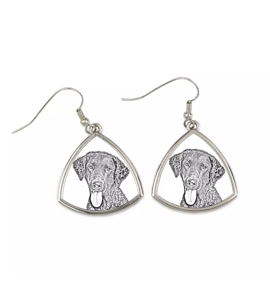 Curly Coated Retriever - dog earrings, hanging earrings with a picture, personalized jewelry with Art-Dog brand print