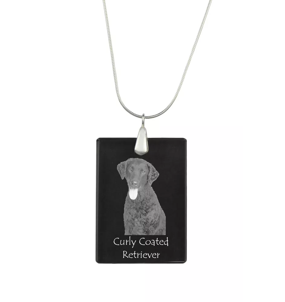 Curly Coated Retriever - Kristallanhänger mit Hund, Silberhalskette mit Foto, personalisierter Anhänger der Marke Art-Dog
