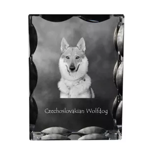 Czechoslovakian Wolfdog, Czechoslovak Vlcak - crystal with a picture of a dog, glass statuette with a picture, unique frame with a picture from Art-Dog brand