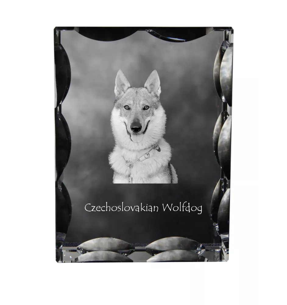 Czechoslovakian Wolfdog, Czechoslovak Vlcak - crystal with a picture of a dog, glass statuette with a picture, unique frame with a picture from Art-Dog brand