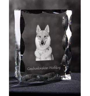 Czechoslovakian Wolfdog, Czechoslovak Vlcak - crystal with a picture of a dog, glass statuette with a picture, unique frame with a picture from Art-Dog brand