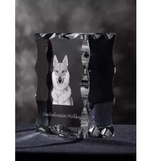 Chien loup tchécoslovaque - cristal avec photo de chien, statuette en verre avec photo, cadre exceptionnel avec photo de la marque Art-Dog