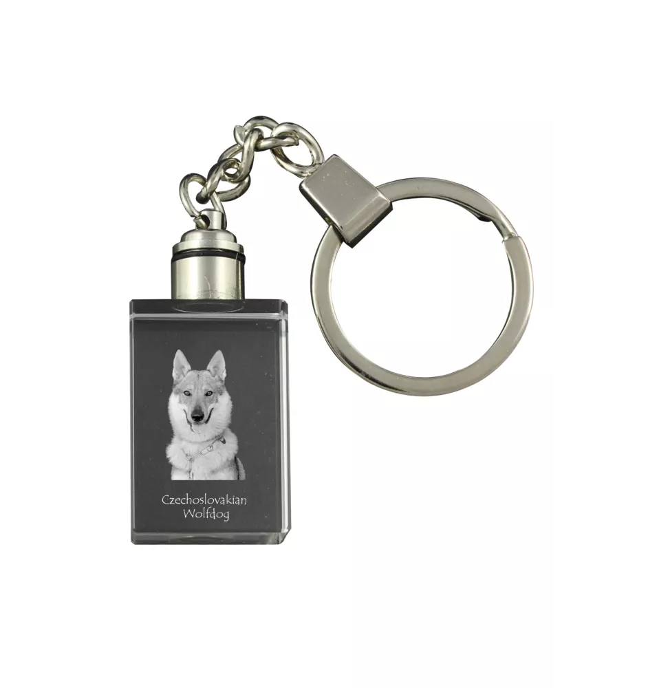 Czechoslovakian Wolfdog, Czechoslovak Vlcak - Crystal key ring with dog photo, illuminated key ring, unique gift by Art-Dog brand