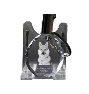 Tschechoslowakischer Wolfhund - Anhänger mit einem Foto eines Hundes, Schlüsselanhänger aus Kristall in einer Geschenkbox, ein einzigartiges Geschenk von Art-Dog