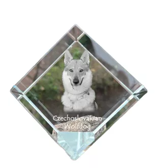 Tschechoslowakischer Wolfhund - Kristallwürfel mit Bild, Pferdebild im Kristall, sechseckiger Papierclip der Marke Art-Dog