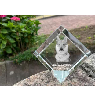 Czechoslovakian Wolfdog, Czechoslovak Vlcak - crystal cube with a photo, photo of a horse in crystal, cubic paperweight from Art-Dog brand