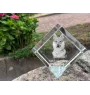 Czechoslovakian Wolfdog, Czechoslovak Vlcak - crystal cube with a photo, photo of a horse in crystal, cubic paperweight from Art-Dog brand