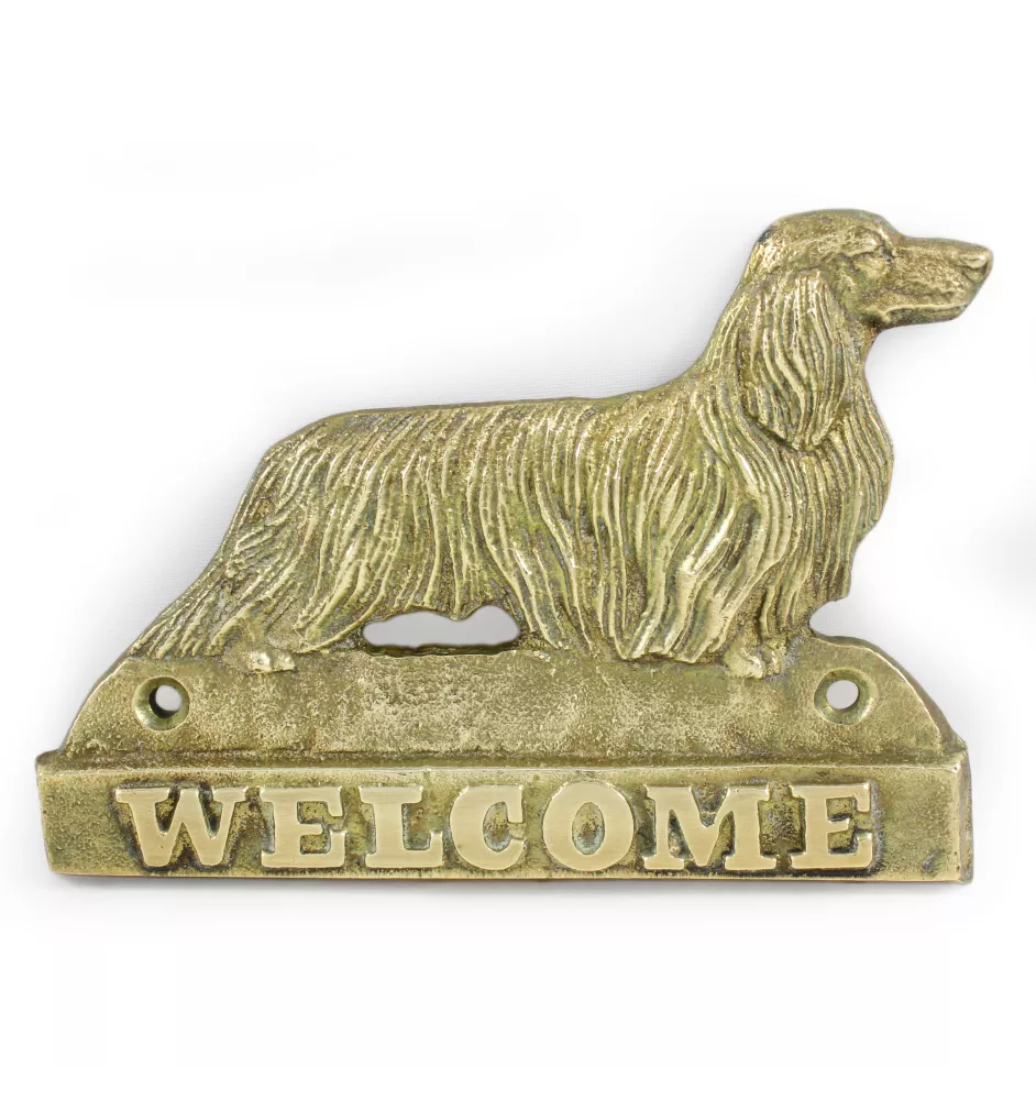 Dachshund Long-haired, Wiener dog, Badger dog - a door sign with a dog, a brass welcome plaque, a unique sign with the inscription Welcome from the Art-Dog brand