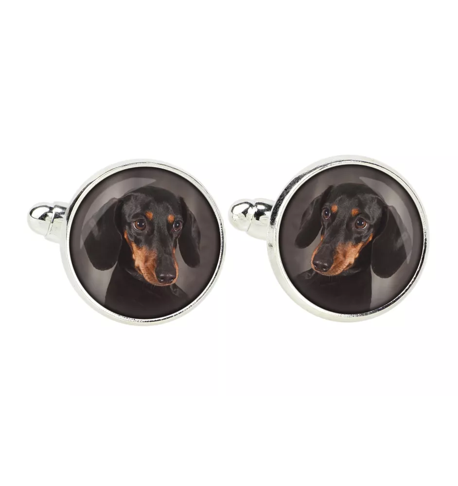 Dachshund Kurzhaar, Dackel, Teckel - Manschettenknöpfe, Hemdverzierung, Hemdanhänger der Marke Art-Dog