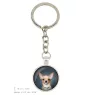 Dachshund Smooth-haired, Wiener dog, Badger dog I - keychain with your photo, key decoration, bag pendant from Art-Dog brand