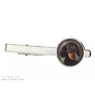  Jamnik krótkowłosy spinka do krawata w pudełku ze zdjęciem Art-Dog