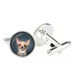 Dachshund Kurzhaar, Dackel, Teckel I - Manschettenknöpfe in einer Schachtel, handgefertigter Schmuck, Produkt der Marke Art-Dog