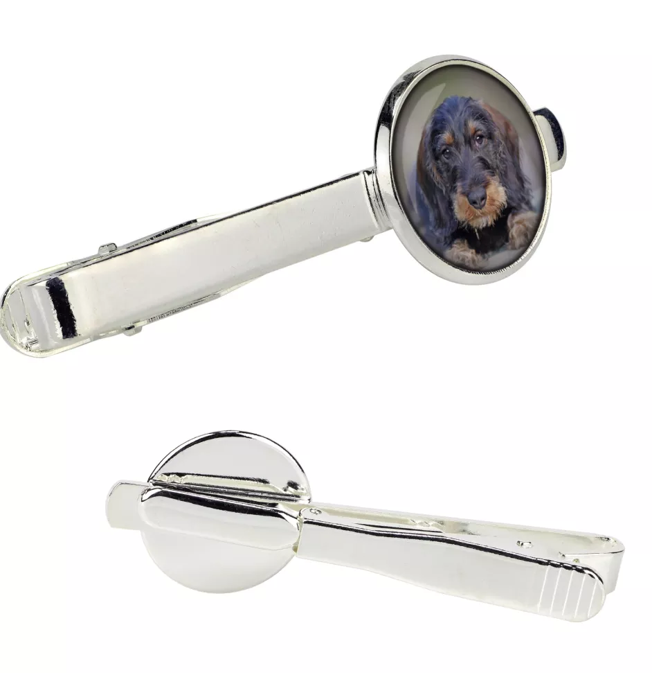 Teckel à poil dur, Chien-saucisse - pince à cravate dans une boîte, cravate élégante, bijoux personnalisés de la marque Art-Dog