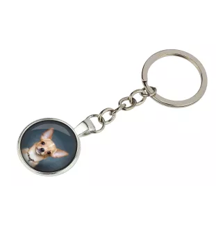 Dachshund Kurzhaar, Dackel, Teckel I - Schlüsselanhänger in einer Box, eigenes Foto, Schlüsselanhänger der Marke Art-Dog