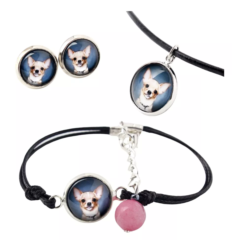 Dachshund Kurzhaar, Dackel, Teckel - Schmuckset in einer Schachtel, Halskette, Ohrringe, Armband, Produkte der Marke Art-Dog