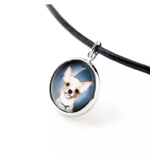  Jamnik krótkowłosy naszyjnik i kolczyki ze zdjęciem Art-Dog