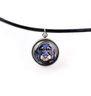 Dachshund Wire-haired, Wiener dog, Badger dog - jewelry with your photo box, set of necklace and earrings, personalized products from the Art-Dog brand