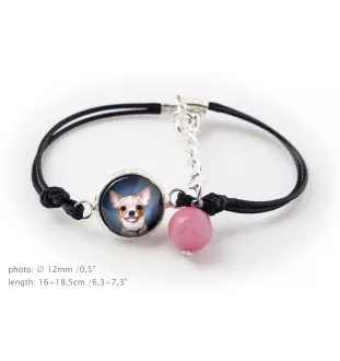 Teckel à poil ras, Chien-saucisse - ensemble de bijoux avec votre photo, ensemble fait à la main, bracelet et collier de la marque Art.-Dog