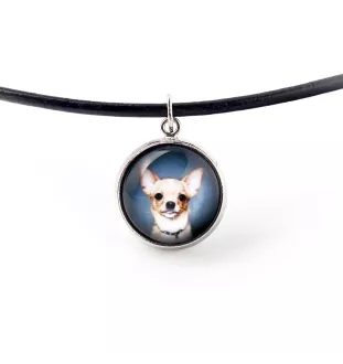 Dachshund Kurzhaar, Dackel, Teckel - Schmuckset mit Ihrem Foto, handgefertigtes Set, Armband und Halskette von Art.-Dog.