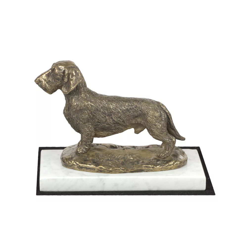 Dachshund Rauhhaar, Dackel, Teckel - Hundestatue, Figur auf weißem Marmor, Trophäe für die Art-Dog-Hundeaustellung