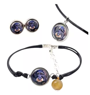 Dachshund Wire-haired, Wiener dog, Badger dog - a set of jewelry in a box, necklace, earrings, bracelet, products from the Art-Dog brand