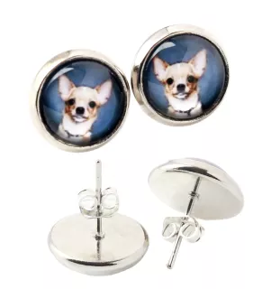 Teckel à poil ras, Chien-saucisse - boucles d'oreilles dans une boîte, votre photo, bijoux faits à la main, produit de la marque Art-Dog.