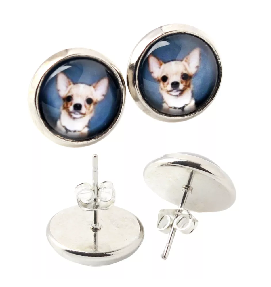 Teckel à poil ras, Chien-saucisse - boucles d'oreilles dans une boîte, votre photo, bijoux faits à la main, produit de la marque Art-Dog.