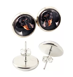 Dachshund Smooth-haired, Wiener dog, Badger dog I - earrings in a box, your photo, handmade jewelry, a product of the Art-Dog brand