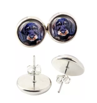 Dachshund Rauhhaar, Dackel, Teckel - Ohrringe in einer Schachtel, Ihr Foto, handgefertigter Schmuck, Eigenmarke von Art-Dog.