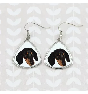 Dachshund Smooth-haired, Wiener dog, Badger dog - earrings with a picture and the inscription geometric dog Art-Dog