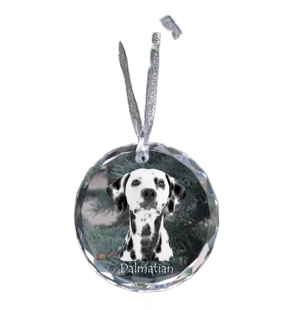 Dalmatian, Carriage Dog, Spotted Coach Dog - crystal bauble with a photo, dog photo in crystal, personalized Christmas tree ornament by Art-Dog brand