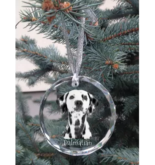 Dalmatian, Carriage Dog, Spotted Coach Dog - crystal bauble with a photo, dog photo in crystal, personalized Christmas tree ornament by Art-Dog brand