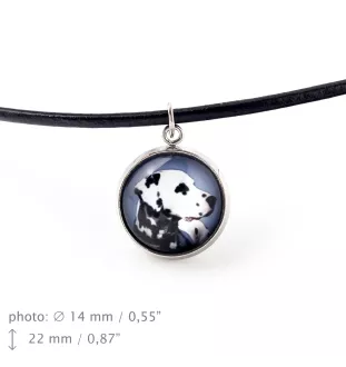 Dalmatian, Carriage Dog, Spotted Coach Dog - necklace pendant with your photo, handmade, handcrafted jewelry by Art-Dog brand