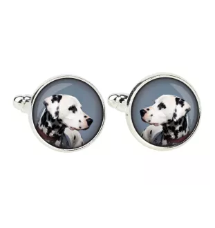 Dalmatian, Carriage Dog, Spotted Coach Dog - cufflinks in a box, handmade jewelry, product of the Art-Dog brand