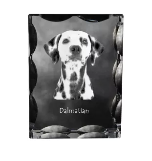 Dalmatien - cristal avec photo de chien, statuette en verre avec photo, cadre exceptionnel avec photo de la marque Art-Dog