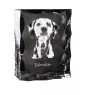 Dalmatien - cristal avec photo de chien, statuette en verre avec photo, cadre exceptionnel avec photo de la marque Art-Dog