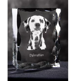 Dalmatien - cristal avec photo de chien, statuette en verre avec photo, cadre exceptionnel avec photo de la marque Art-Dog