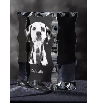 Dalmatien - cristal avec photo de chien, statuette en verre avec photo, cadre exceptionnel avec photo de la marque Art-Dog