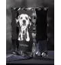 Dalmatien - cristal avec photo de chien, statuette en verre avec photo, cadre exceptionnel avec photo de la marque Art-Dog