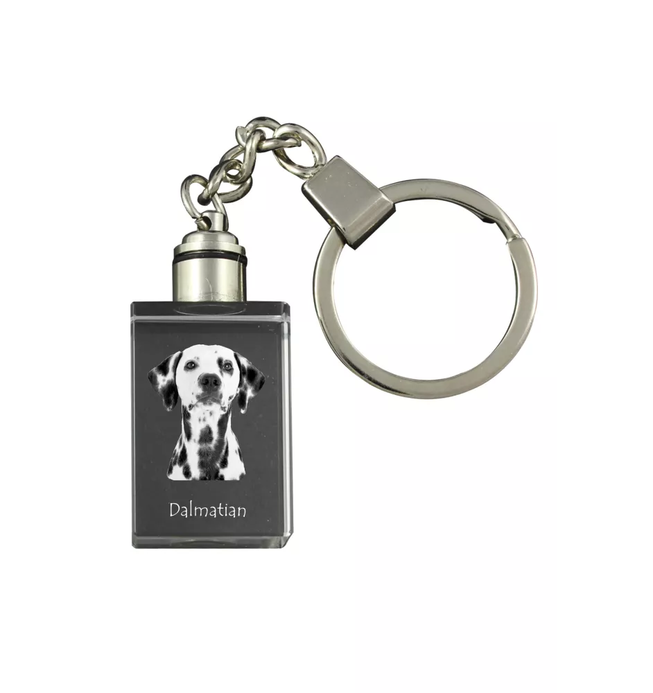 Dalmatien - Porte-clés en cristal avec photo de chien, porte-clés lumineux, cadeau unique de la marque Art-Dog